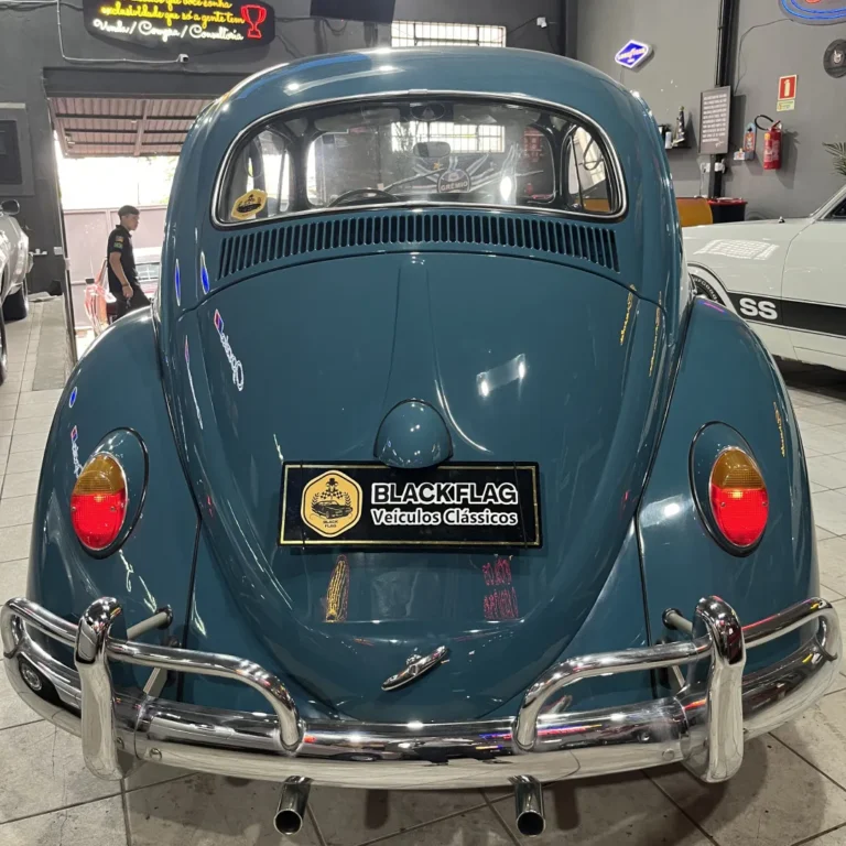 fusca 4
