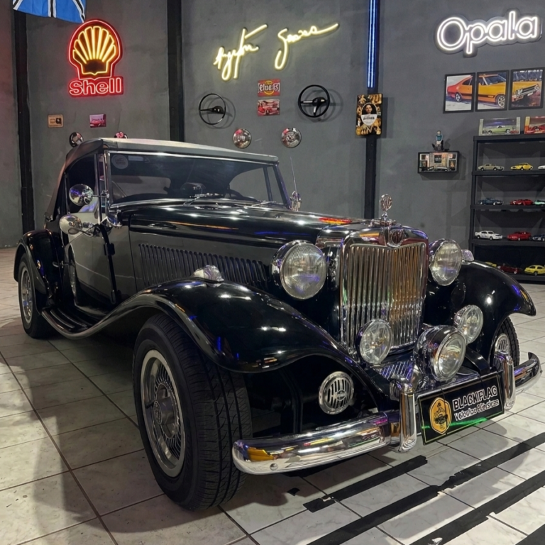 MP Lafer 1975 Black Flag (12)