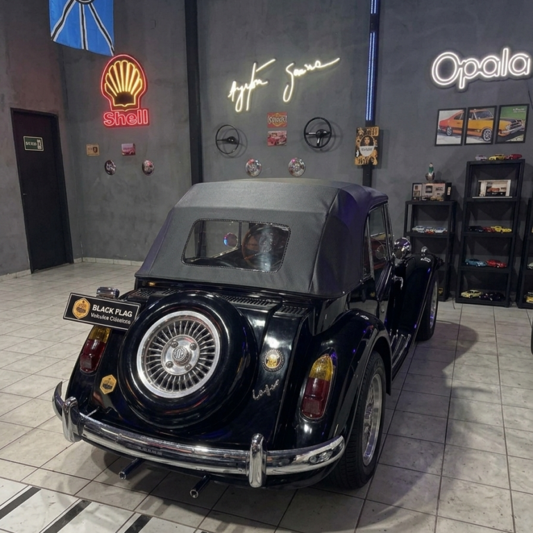 MP Lafer 1975 Black Flag (7)